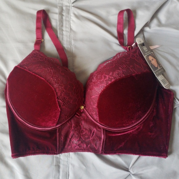 Daisy Fuentes Other - 40D Burgundy Bra
